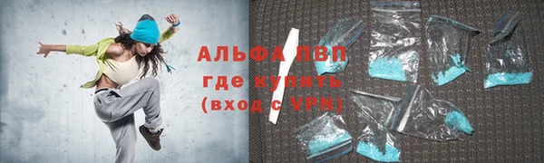 молекула духа Осташков
