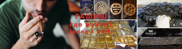 молекула духа Осташков