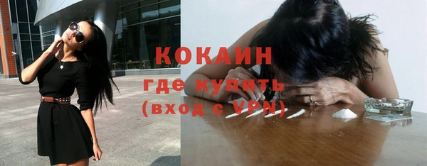 молекула духа Осташков