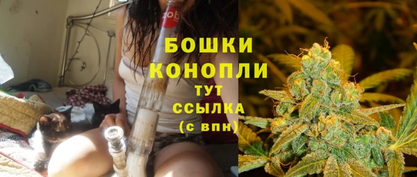 молекула духа Осташков