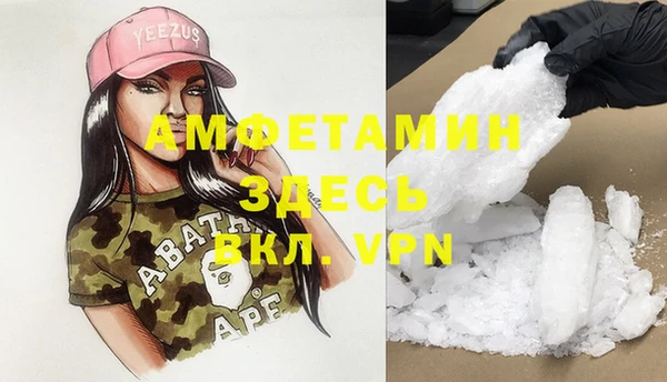 молекула духа Осташков