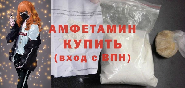 молекула духа Осташков