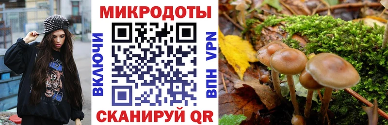 мега ССЫЛКА  купить  цена  Сосновый Бор  Псилоцибиновые грибы MAGIC MUSHROOMS 