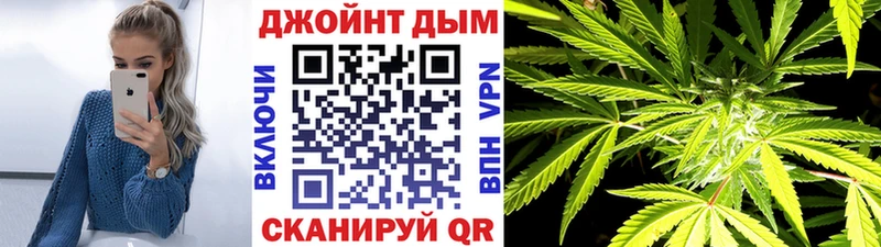 Бошки марихуана THC 21%  kraken tor  Сосновый Бор 